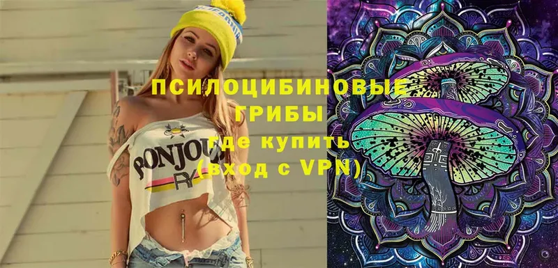 Псилоцибиновые грибы Psilocybe  Дюртюли 